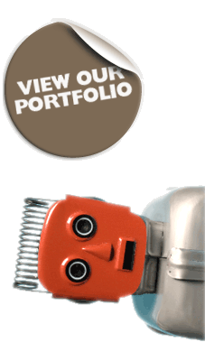 rActive Portfolio